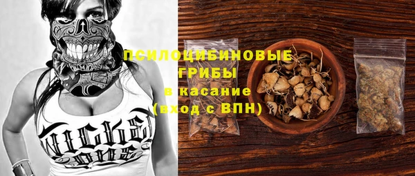 мдма Белокуриха
