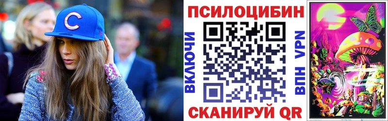 MEGA ONION  Выборг  Псилоцибиновые грибы Magic Shrooms 
