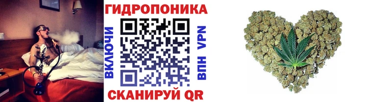 как найти наркотики  Выборг  Бошки Шишки OG Kush 
